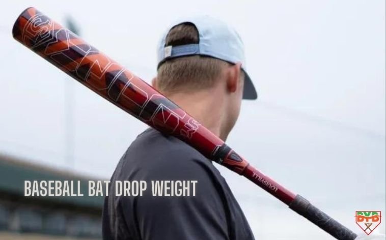 Baseball bat drop weight