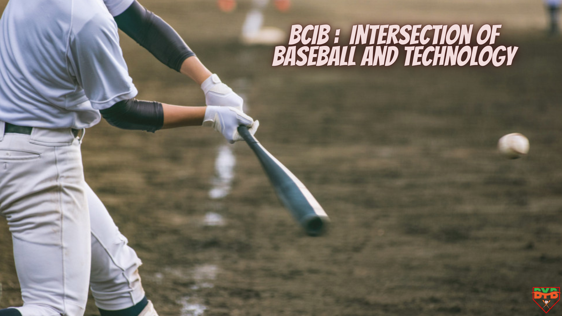 bcib : Intersection of Baseball and Technology