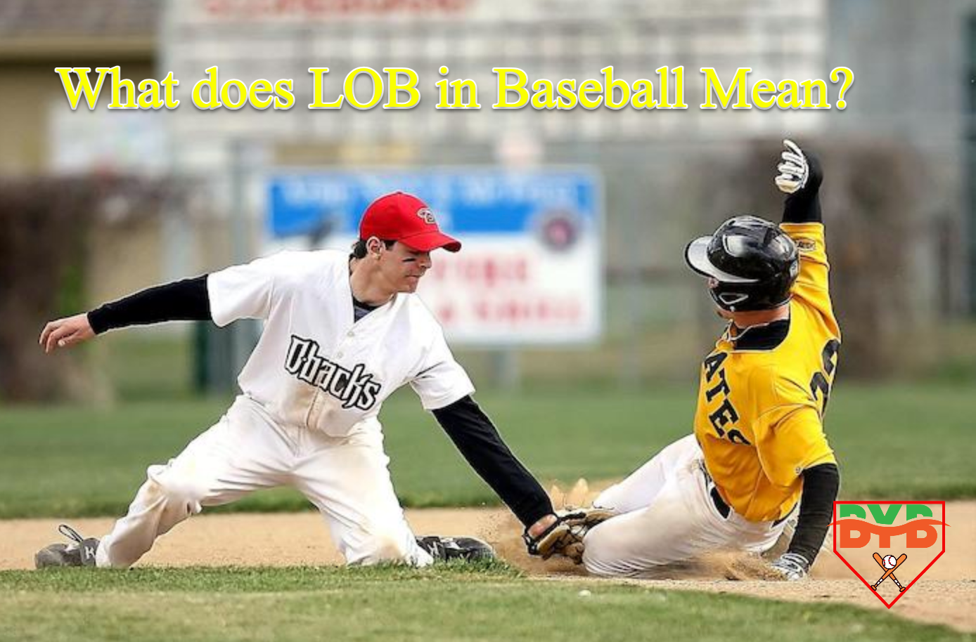 what-does-lob-in-baseball-mean-belvidere-youth-baseball